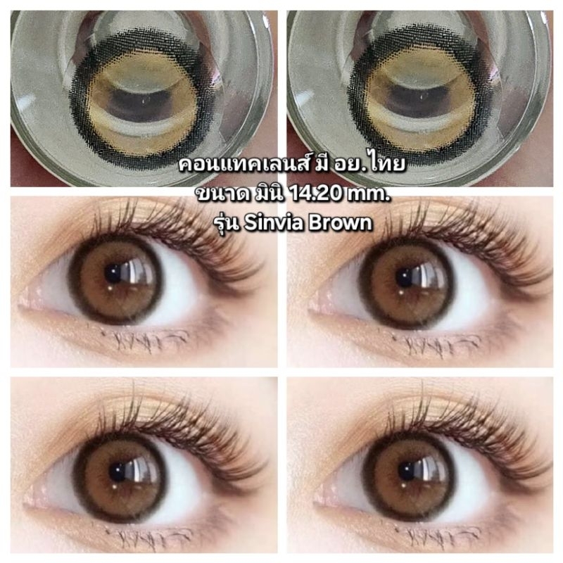 คอนแทคเลนส์ รุ่น Mini Sinvia เทา/ตาล/ชมพู/Hazel Gray/Brown/Pink Hazel ...