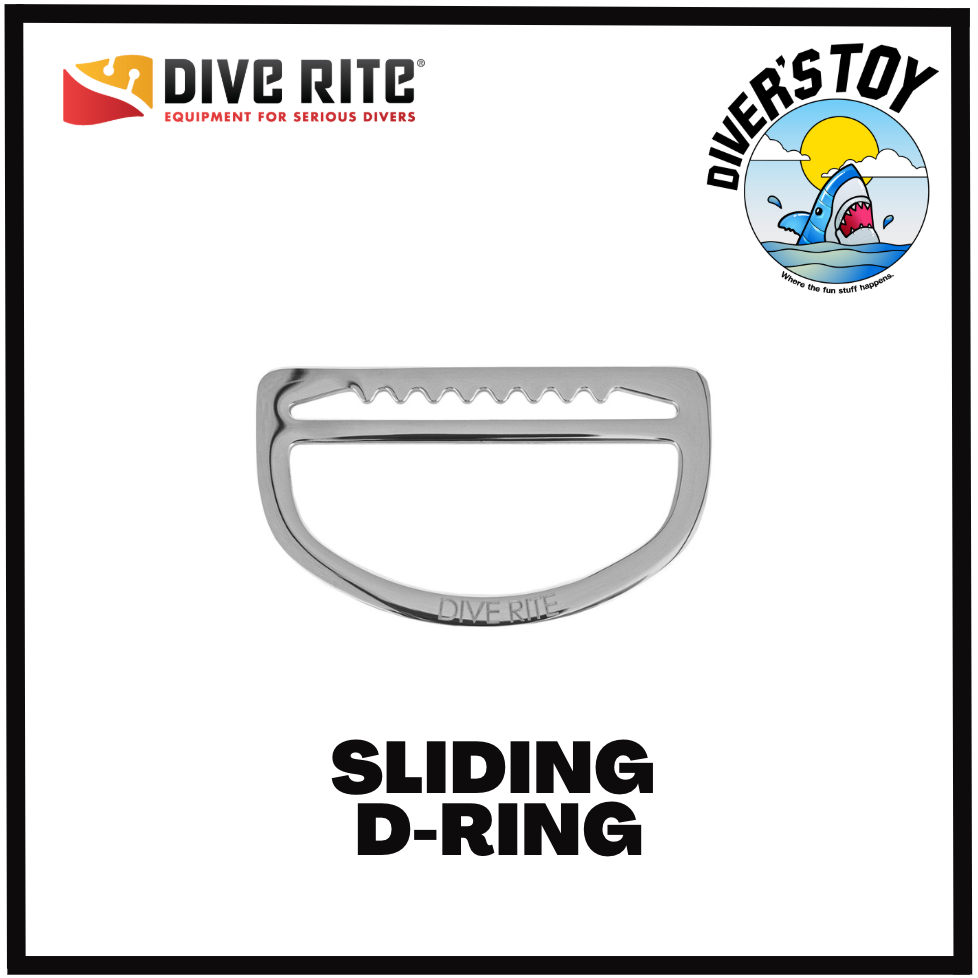 Sliding D-Ring, Stainless Steel Dive Rite | Shopee Thailand