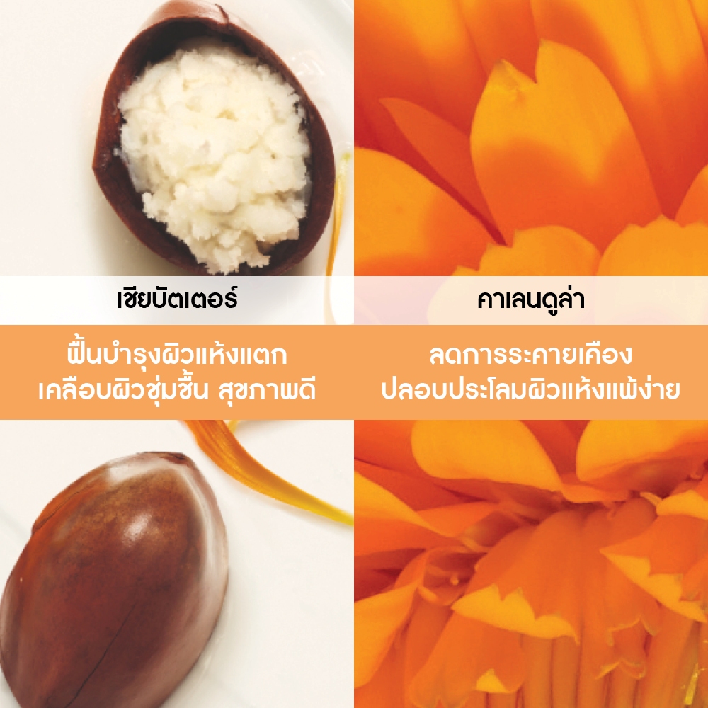 อีฟ โรเช Yves Rocher REPAIR ORGANIC SHEA BUTTER & CALENDULA WHIPPED ...