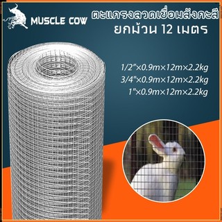 MUSCLE COW lưới thép mạ kẽm lưới chuồng gà lưới chuồng chim lưới đắp tường lưới dây dây thép hàng rào lưới chống rắn chống chuột bẫy động vật