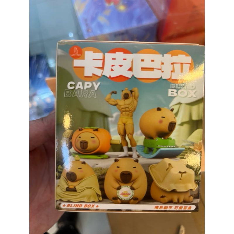 (สุ่ม) Capybara Blindbox | Shopee Thailand