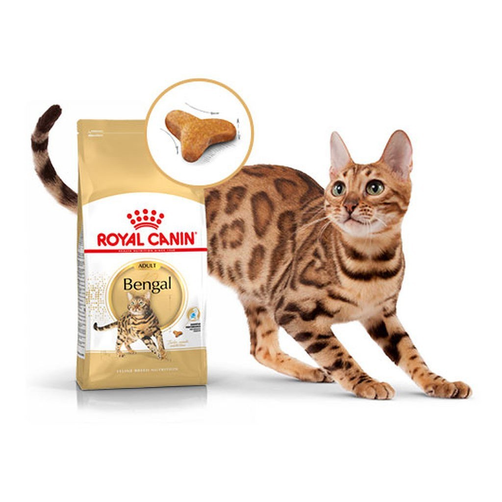 2kg.* Royal Canin Bengal อาหารแมวโตพันธุ์เบงกอล ชนิดเม็ด (BENGAL