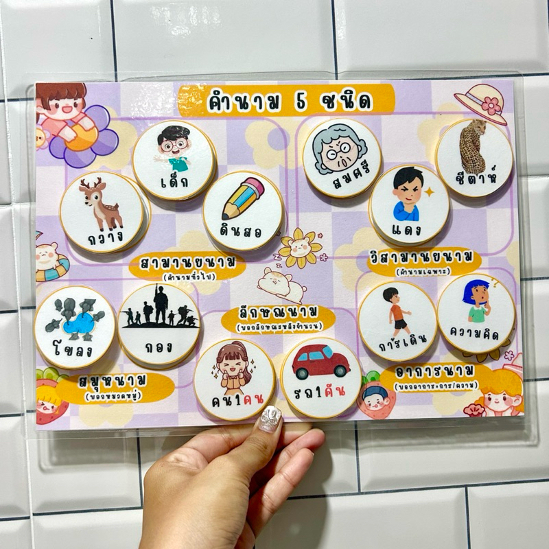 สื่อการสอนวิชาภาษาไทย,คำนาม5ชนิด | Shopee Thailand