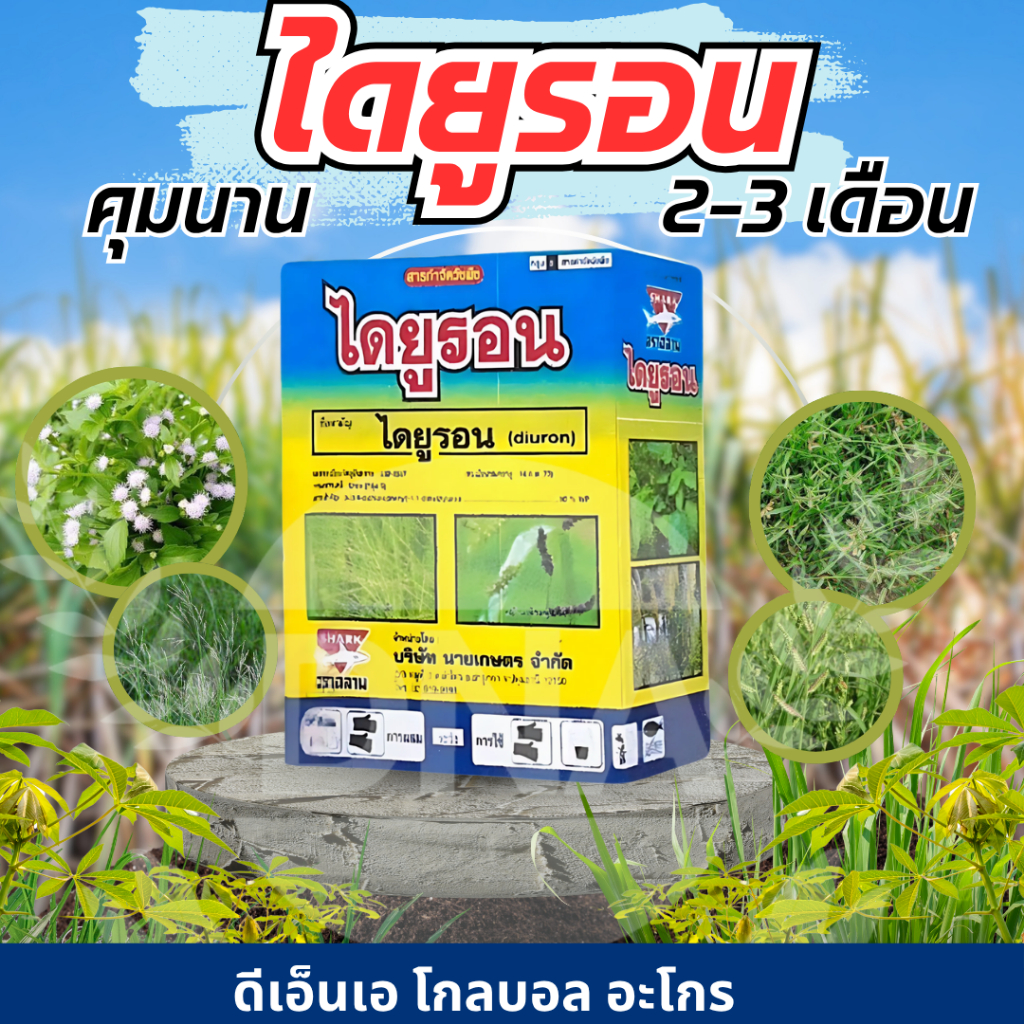 ไดยูรอน :diuronฉลาม ขนาด 1 กิโลกรัม ยาคุมในไร่อ้อย กำจัดวัชพืชใบแคบและ ...
