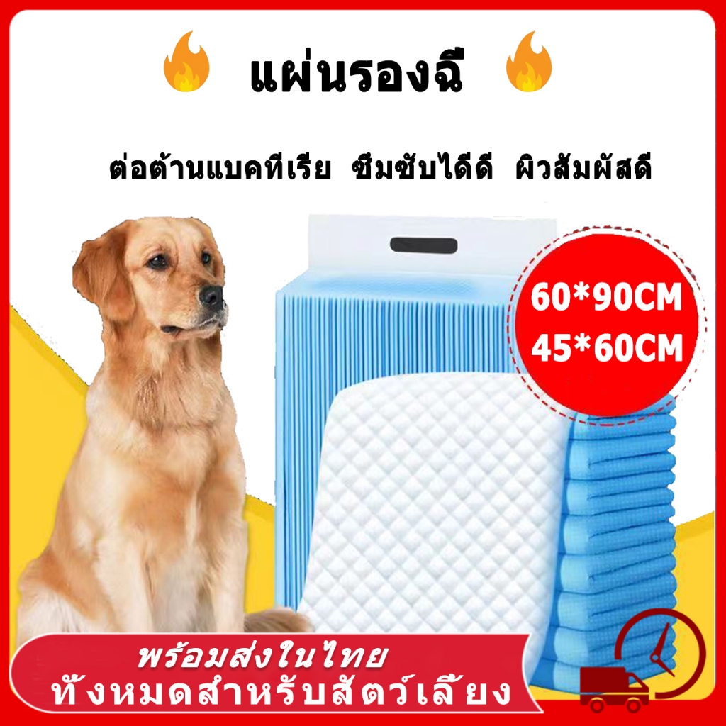 🔥🔥แผ่นรองฉี่ แผ่นรองฉี่สุนัข 2 ชั้น ต่อต้านแบคทีเรีย ซึมซับไดีดี แผ่นรองฉี่สำหรับสัตว์เลี้ยง ผิวสัมผัสดี ถาดรองฉี่สุนัข