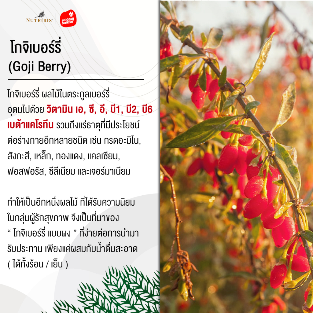 โกจิเบอร์รี่ แบบผง เพียว100% 150 ก Exp10/2026 ผงชง เพื่อสุขภาพ บำรุง ...