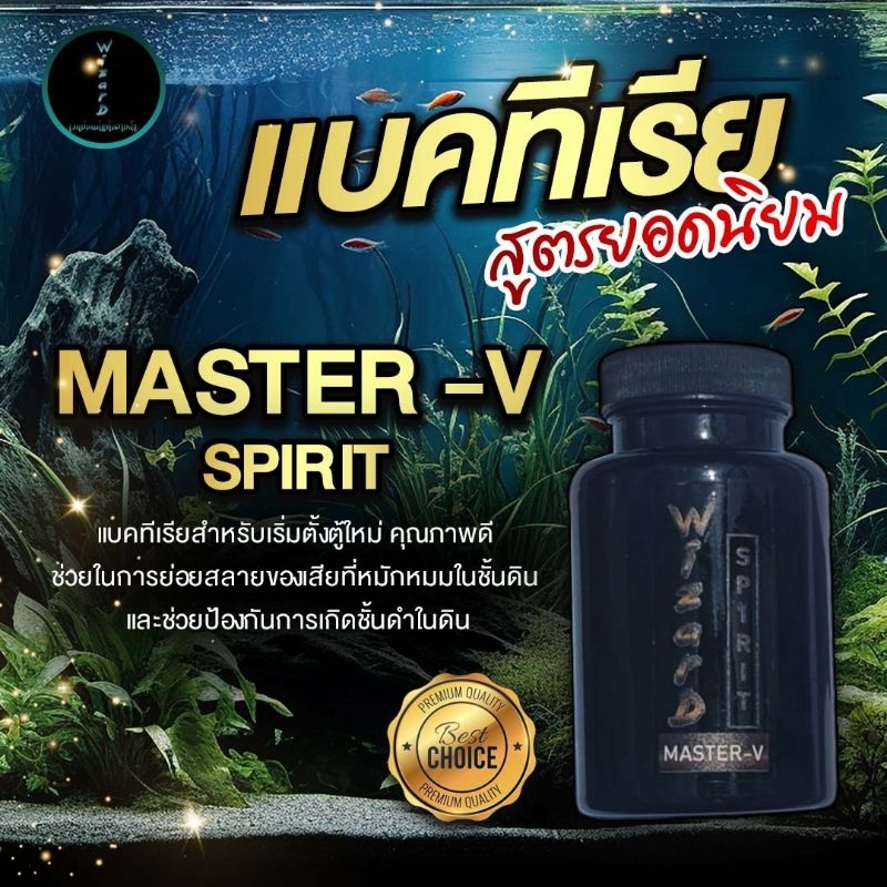 แบคทีเรียรองพื้น WIZARD SPIRIT MASTER-V | Shopee Thailand