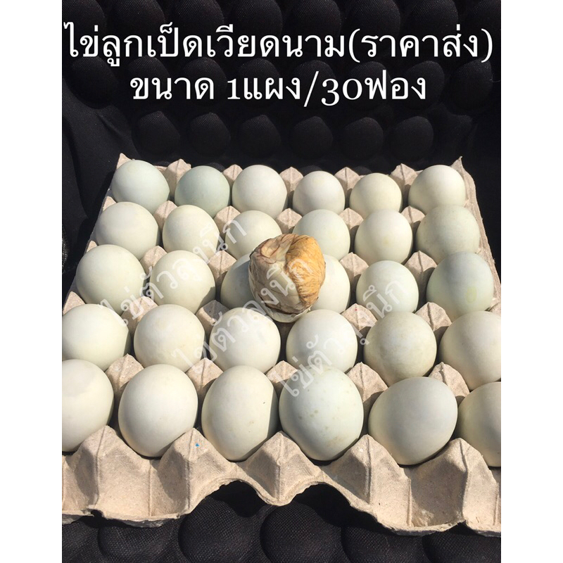 ไข่ลูกเป็ดเวียดนาม 100% ราคาส่ง ขนาด1แผง/30ฟอง | Shopee Thailand