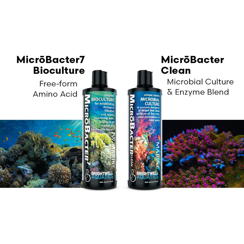 Brightwell Aquatics MicroBacter Clean แบคทีเรียสำหรับตู้ตั้งใหม่ น้ำจืด ...