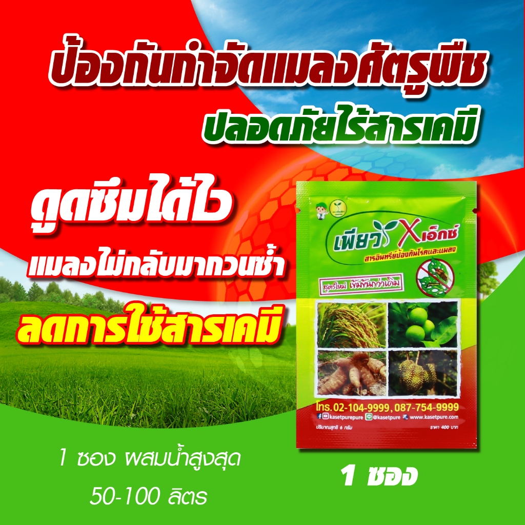 เพียวเอ็กซ์ สารอินทรีย์ ป้องกันโรคแมลงศัตรูพืช เพลี้ย หนอน แมลง โรคพืช ปลอดภัยไร้สารตกค้าง