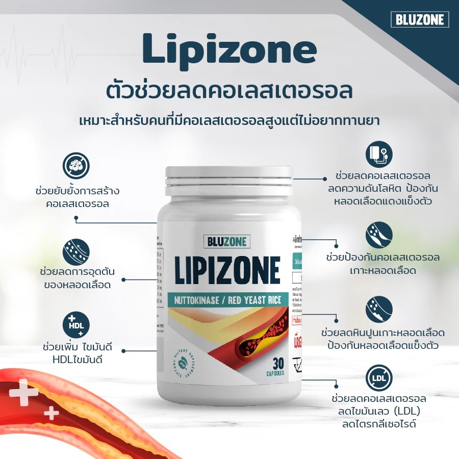 Bluzone Lipizone (ลดคลอเลสเตอรอล) 30 แคปซูล | Shopee Thailand