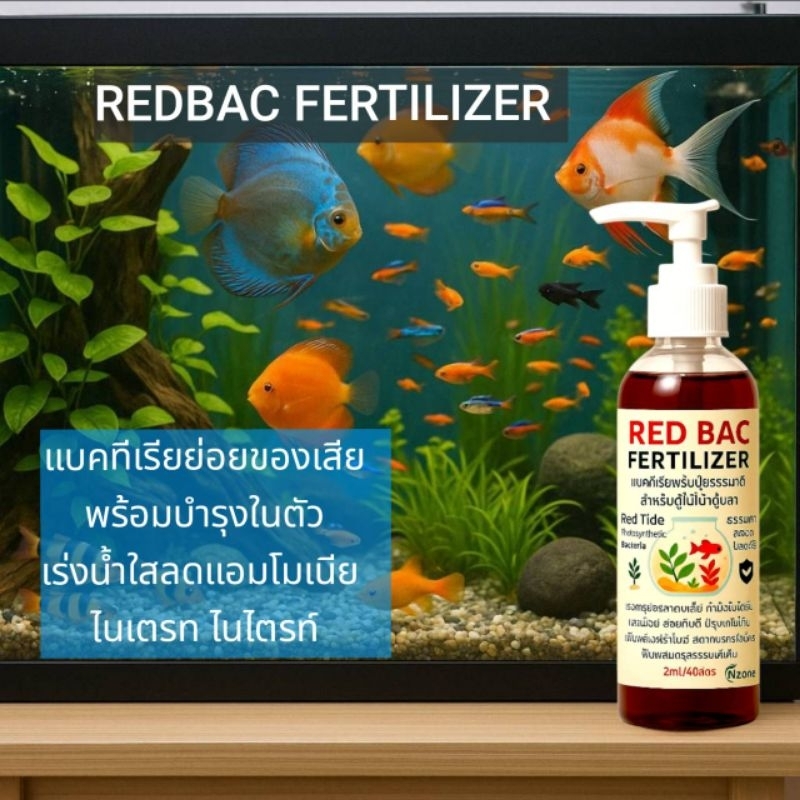 (ส่งของทุกวัน)REDBACแบคทีเรียบำรุงสูตรเข้มข้น สำหรับ ตู้ปลา ตู้ไม้น้ำ ...