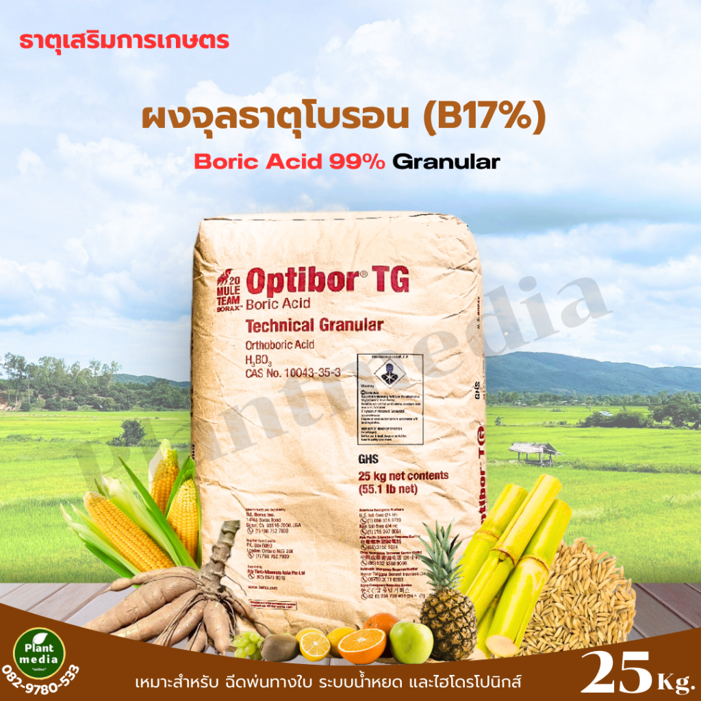 โบรอน 17% กรดบอริก 99% OBTIBOR ASIT USA บรรจุ 25 กิโลกรัม. | Shopee ...