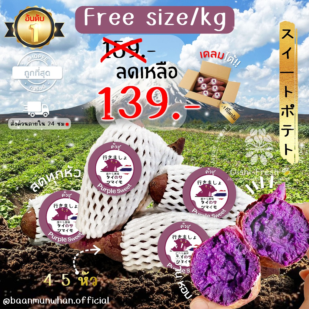 Oishi-Fresh มันหวานญี่ปุ่น 🇹🇭ปลูกในไทย🇹🇭สายพันธุ์ ม่วงเพอเพิ่ล หวาน หอม นุ่ม เนื้อม่วง 1 กิโลกรัม เคลมได้