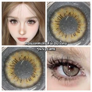 Kính áp tròng có อย.ไทย รุ่น Lycans màu xám/nâu Gray/Brown có độ cận (0.00)-(-5.00) hàng tháng