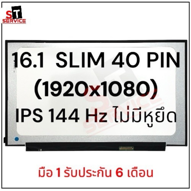 Maxwell & Williams - Tasse à Thé et Café en Porcelaine, Dessin de Martin-Chasseur Géant