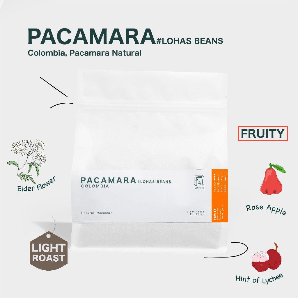 Matori Coffee Roaster เมล็ดกาแฟคั่วอ่อน Colombia, Pacamara #LOHAS BEANS ...