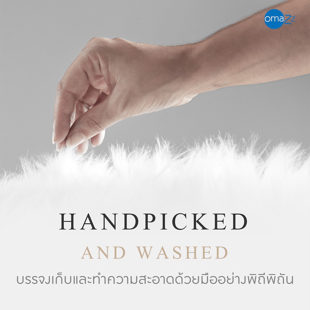 OMAZZ รุ่น หมอนหนุนขนห่านไซบีเรีย Firm ขนาด Standard 50x75 cm. เพื่อการรองรับสรีระอย่างนุ่มนวลและหลับสบายตลอดคืน