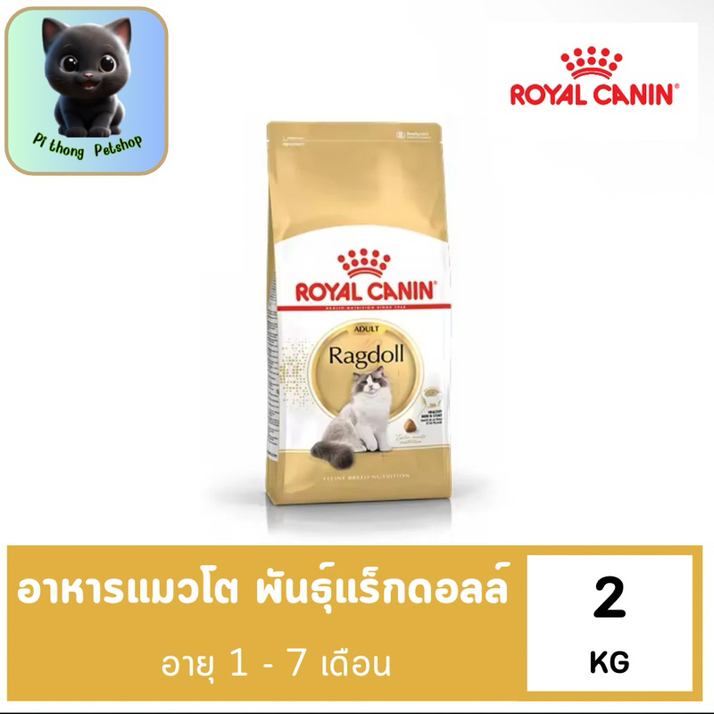 Royal Canin Ragdoll Adult 2kg อาหารเม็ดแมวโต พันธุ์แร็กดอลล์ อายุ 1 ปี ...