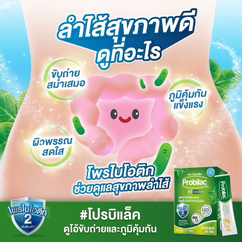 Dutch Mill Probilac Duo Probiotic Inulin ดัชมิลล์ โปรบิแล็ค ดูโอ้ โพร ...