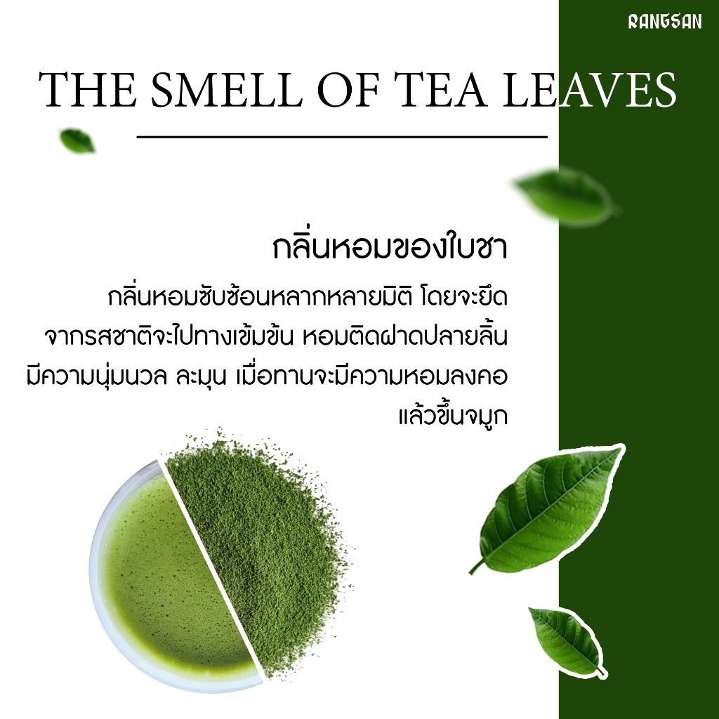 ใบชาเขียวพรีเมี่ยม - Green Tea Premium (Rangsan) | Shopee Thailand