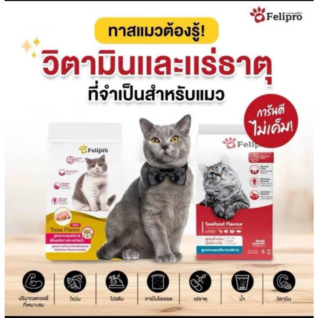 Felipro เฟลิโปร อาหารแมว ควบคุมความเค็ม 20kg. ยกกระสอบ | Shopee Thailand