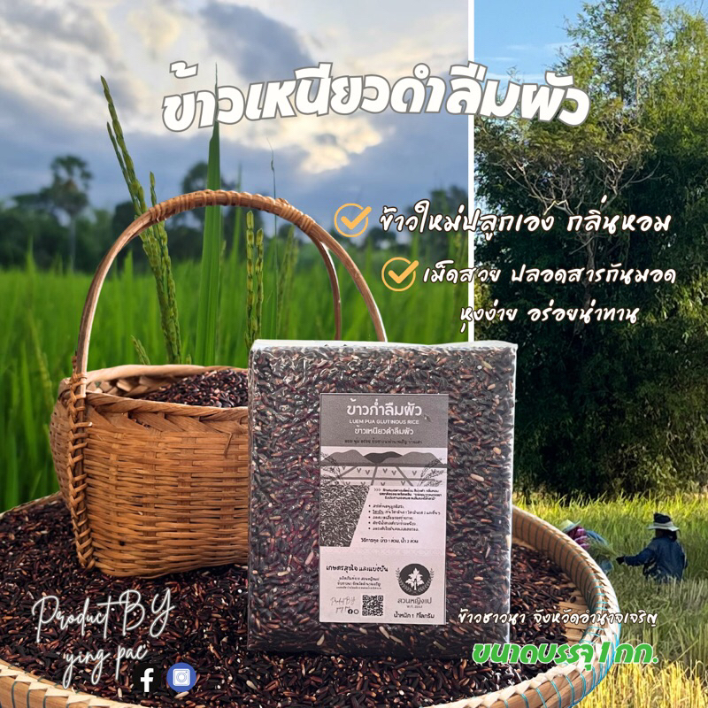 [แพค 3 กก] YING PAE RICE ข้าวก่ำลืมผัว ข้าวเหนียวดำ ข้าวปลูกเอง โดยชาว ...