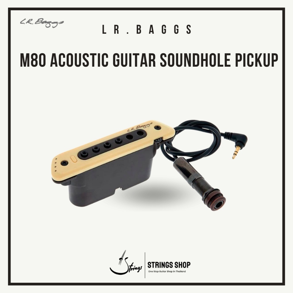 L.R.Baggs M80 Soundhole Pickup 堕ち