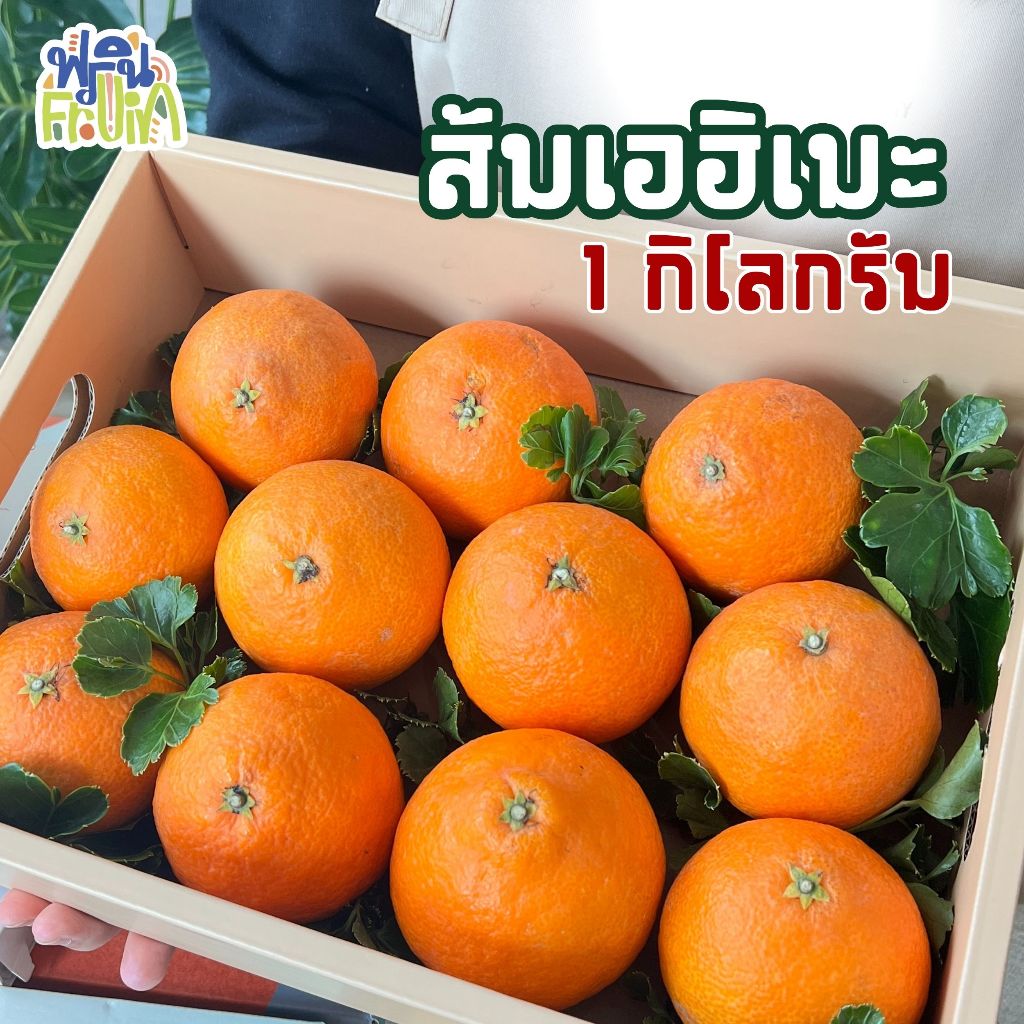 พร้อมส่ง️! ส้มเอฮิเมะสด 1 กิโลกรัม Ehime Orange ส้มเนื้อเยลลี่ สาย ...