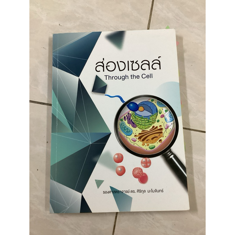 ส่องเซลล์ Through the Cell มือสอง | Shopee Thailand