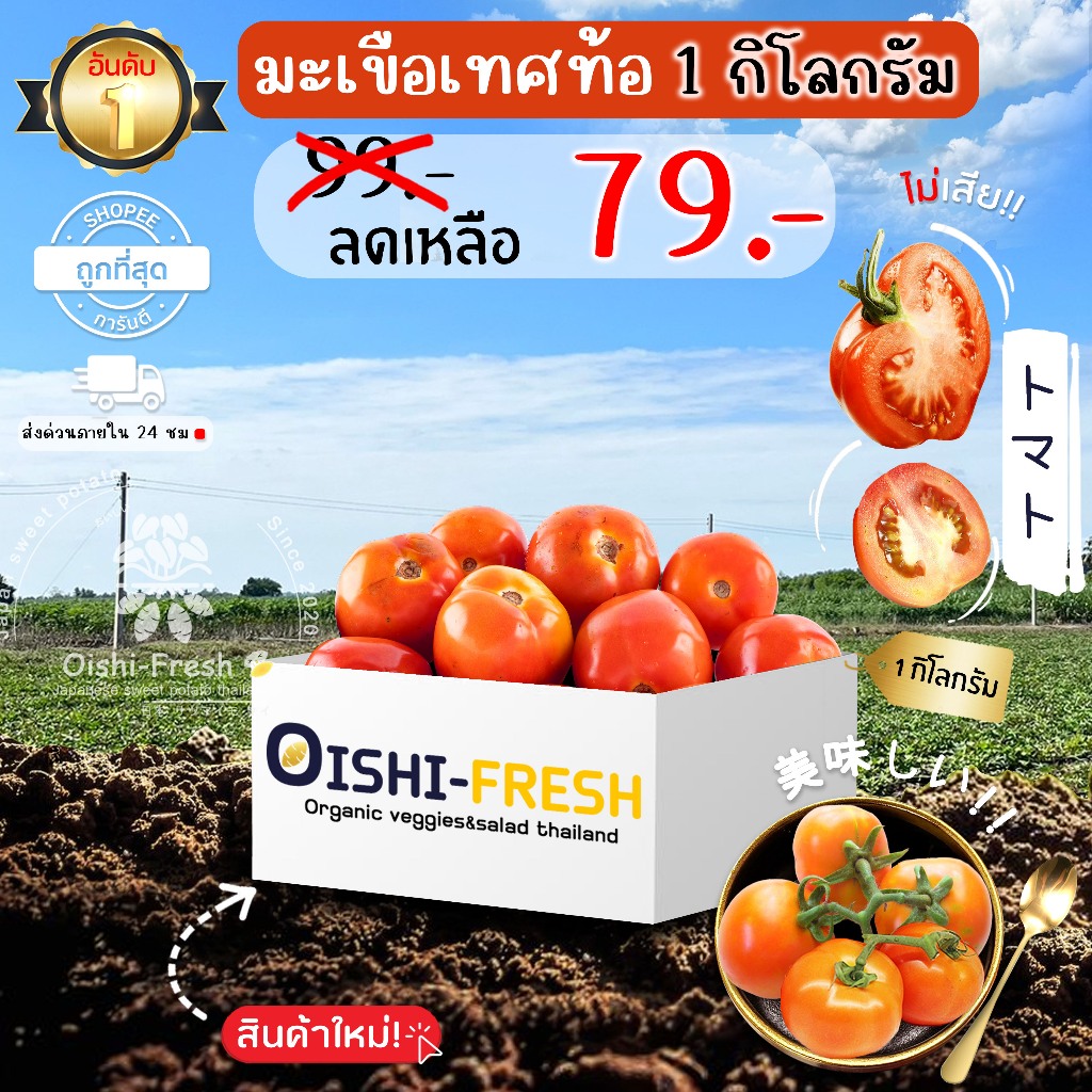 🛒Oishi-Fresh 🍅มะเขือเทศท้อ ปลอดสารพิษ ปลอดสารพิษ 1 กก. รสชาติกรอบ สด ...