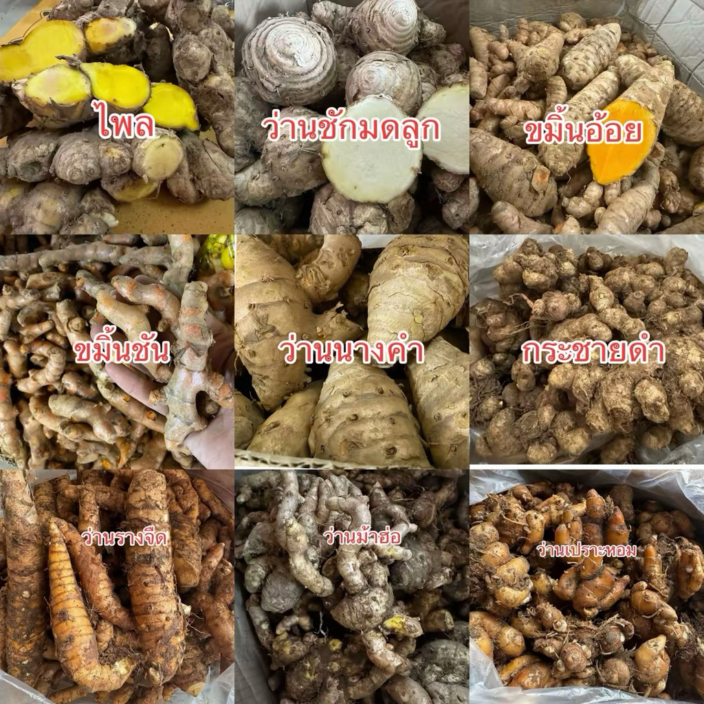 th 11134207 7rasj maatts3m5ykq9e