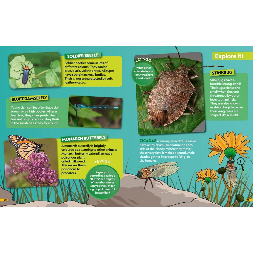 National Geographic Kids Insects Find it! Explore it! หนังสือเด็ก แมลง ...