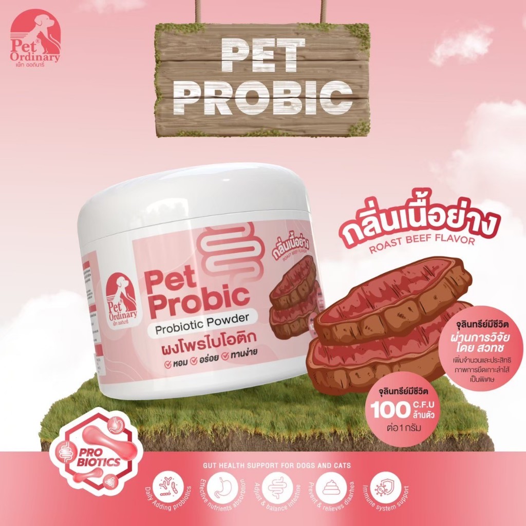 Pet Probic 100 g. กลิ่นเนื้อย่าง - Pet Ordinary | Shopee Thailand