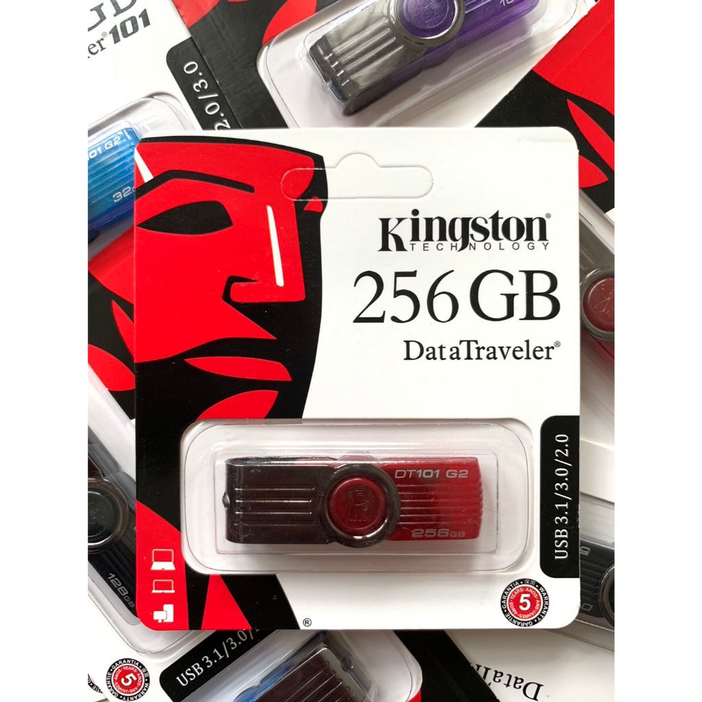 USB Flash Drive 256GB รุ่น DT101 แฟลชไดร์ฟ แฟลชไดร์ค่ะ | Shopee Thailand