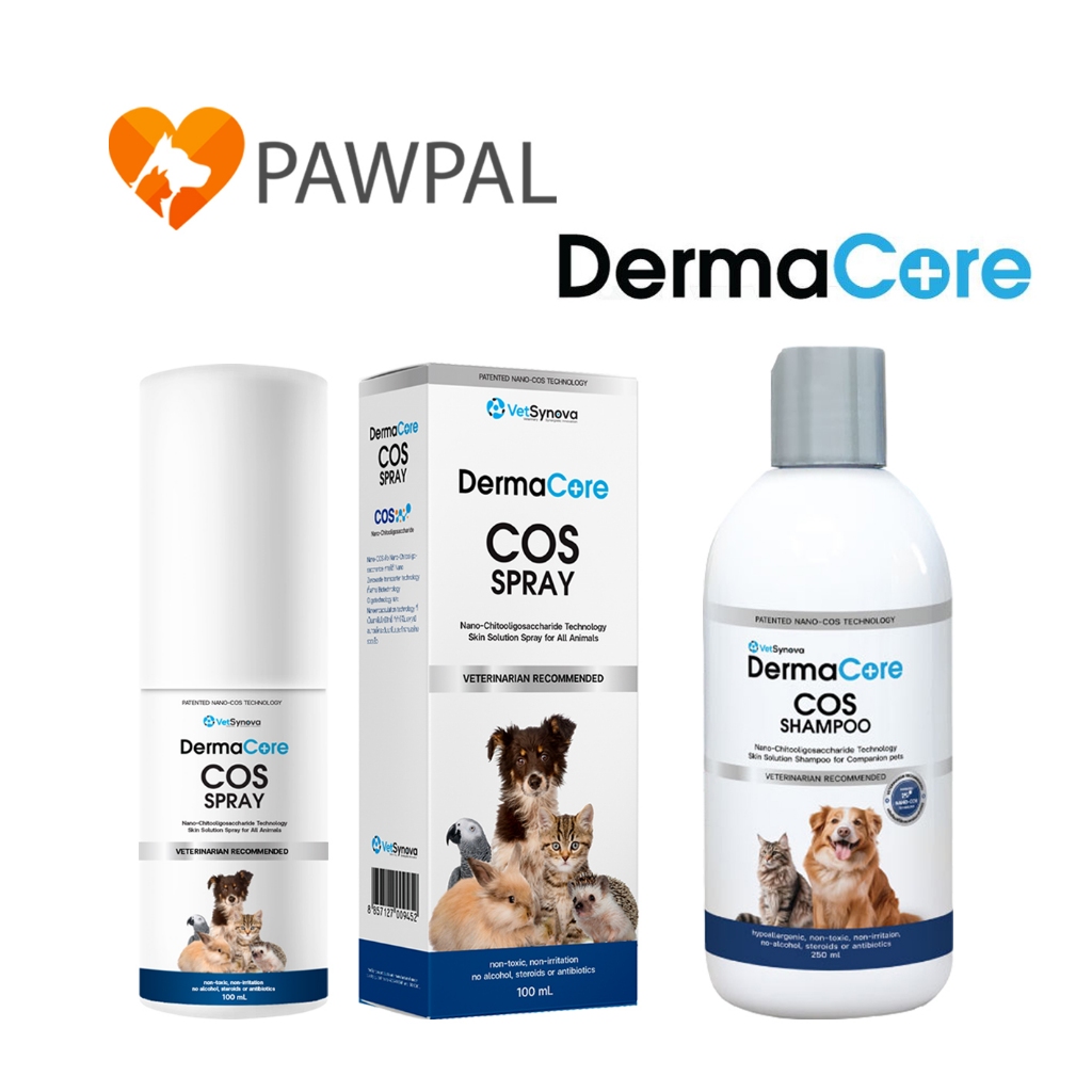 DermaCore COS Spray 20 100 ml Shampoo 250 ml🔥 Exp.2028 สเปรย์พ่นเชื้อรา ...