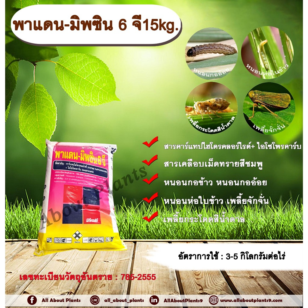 พาแดน-มิพซิน 6 จี15kg. คาร์แทปไฮโดรคลอร์ไรด์+ไอโซโพรคาร์บ | Shopee Thailand