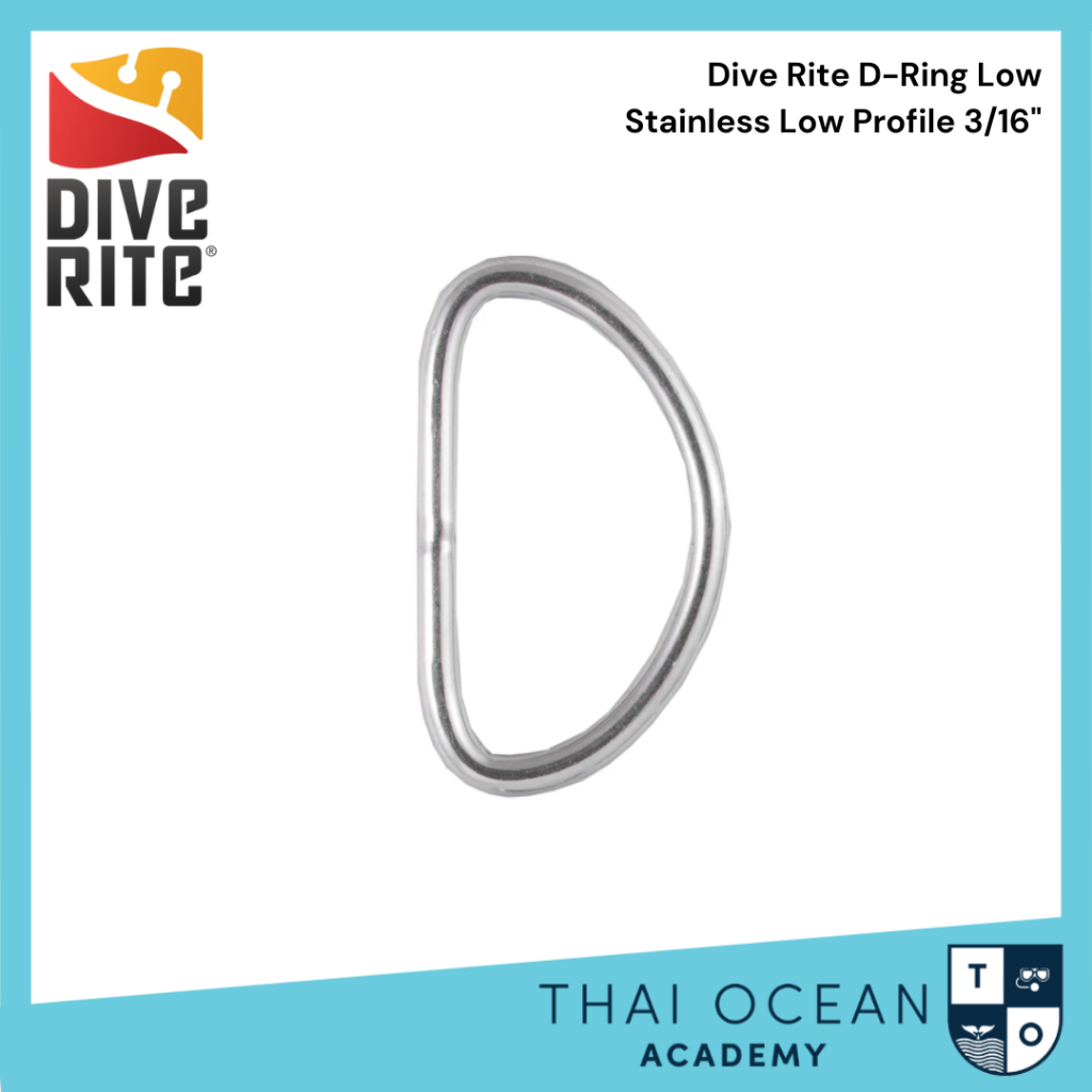 Dive Rite D-Ring Low Stainless Low Profile 3/16
