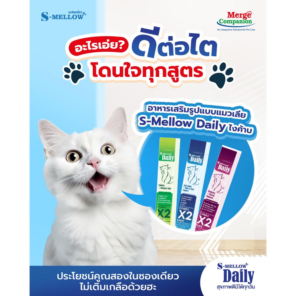 (ยกกล่อง 24ซอง) S-Mellow Daily อาหารเสริมวิตามินในรูปแบบแมวเลีย หมาเลีย ...