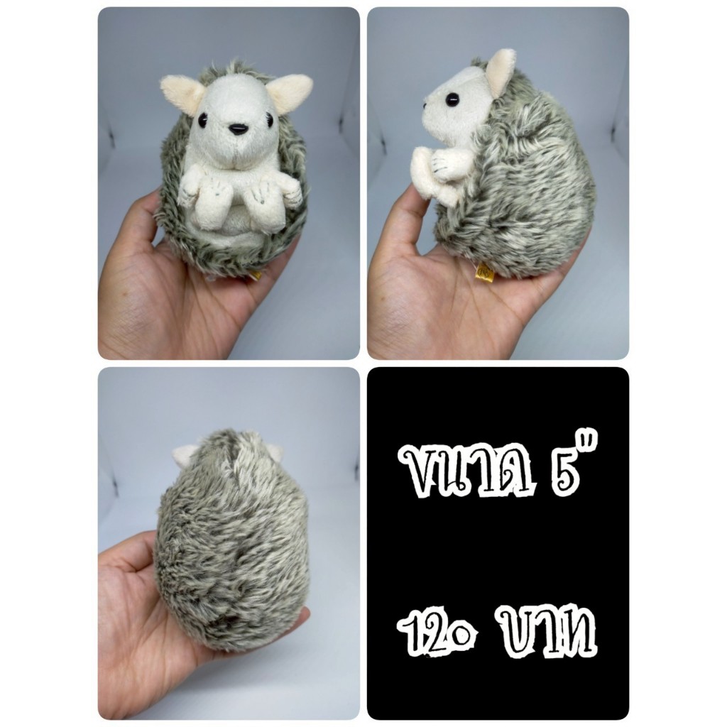 Chippi the Hedgehog#เฮดจ์ฮอก#เม่น#เม่นแคระ#ตุ๊กตาญี่ปุ่นมือสอง | Shopee ...