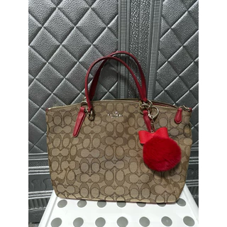 【極美品】コーチ　クラッチバッグ　サイドバッグ　ホースキャリッジ　ブラック大容量 Brandol / COACH コーチ ショルダーバッグ ペース レザー 三日月