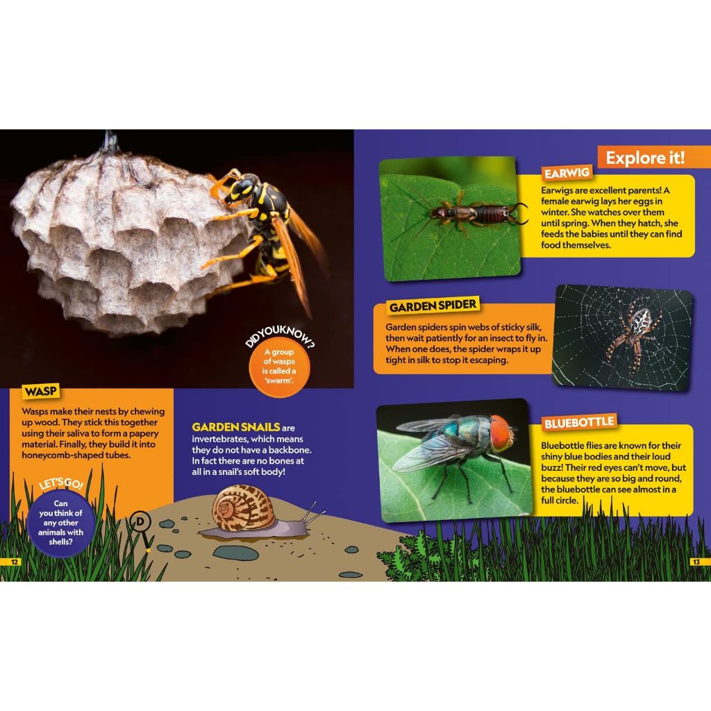 National Geographic Kids Insects Find it! Explore it! หนังสือเด็ก แมลง ...