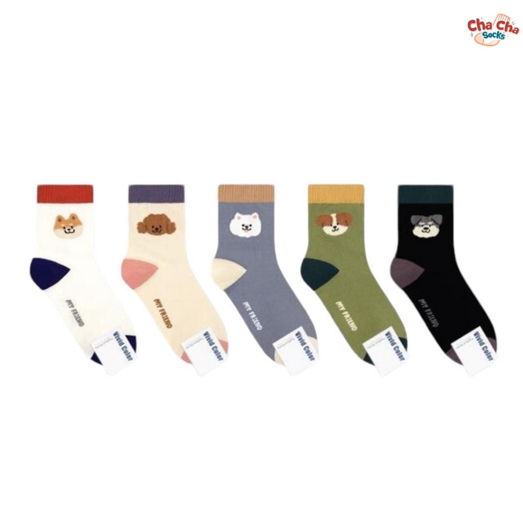Chacha socks - ถุงเท้าข้อยาว My Pet Socks แบรนด์ Vivid Color นำเข้าจาก ...