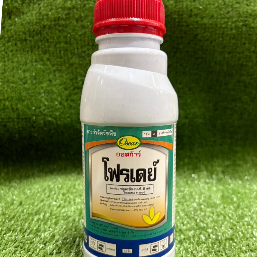 th-11134207-7rasl-m1ci5oc6t7lf02