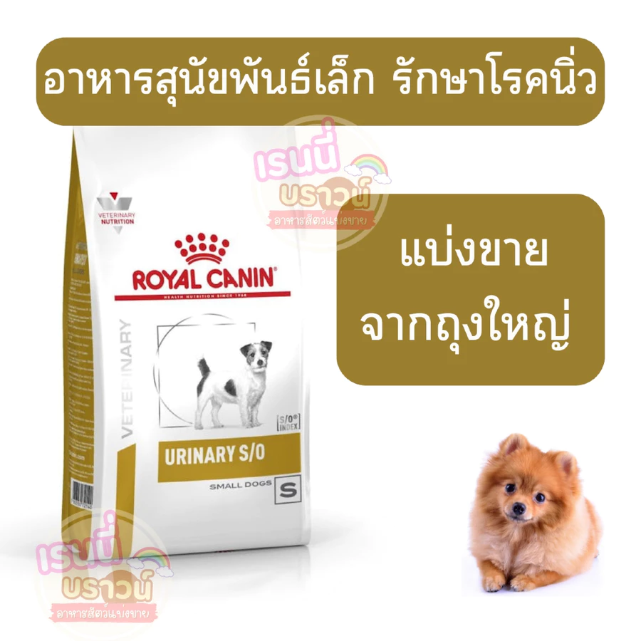 Royal Canin Urinary S/O อาหารสุนัขพันธุ์เล็กโรคนิ่ว