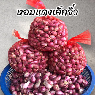 หอมแดงตัดจุก เล็กจิ๋ว ศรีสะเกษ photo