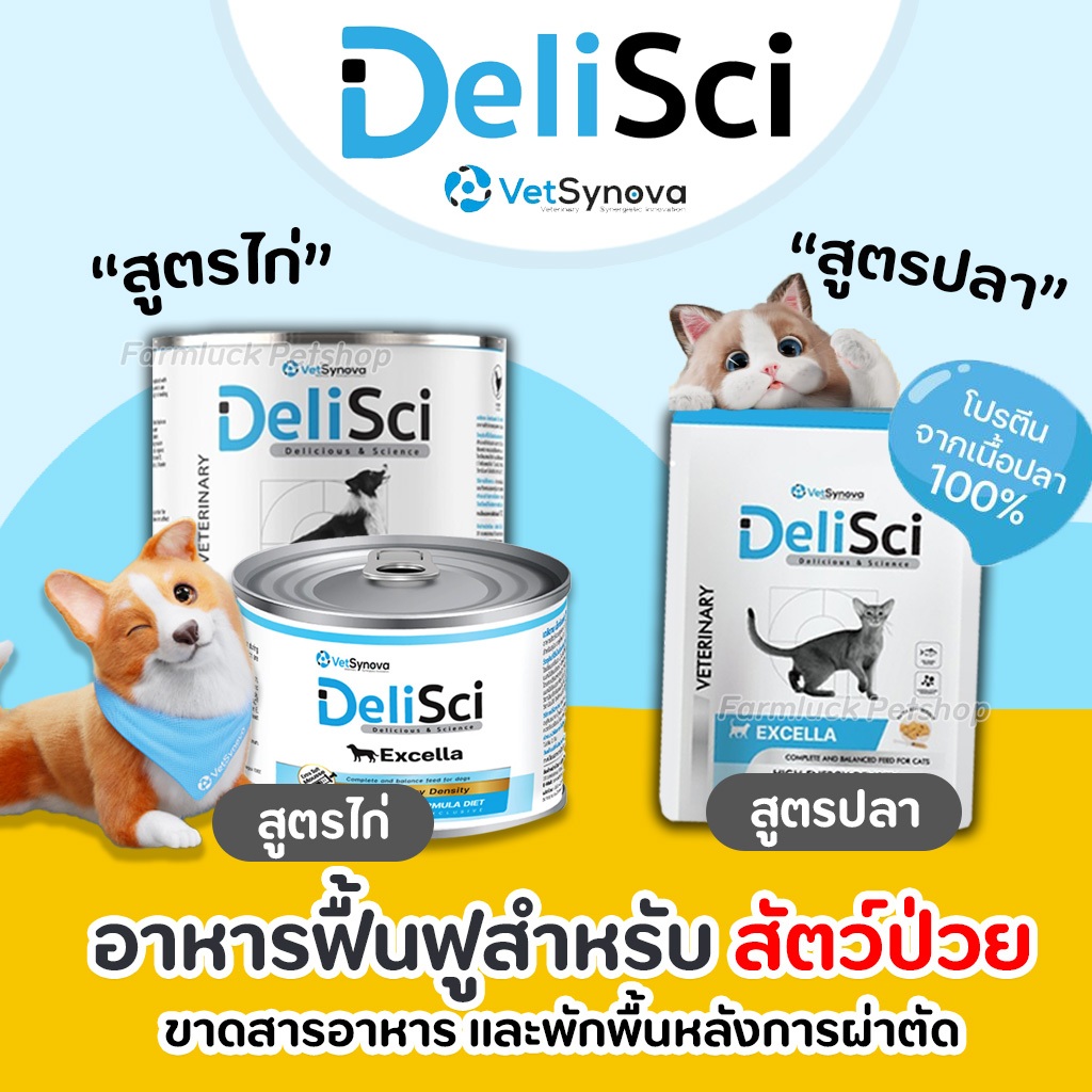 DeliSci Excella อาหารสำหรับแมว-สุนัขป่วย หลังผ่าตัดหรือกำลังพักฟื้น ...