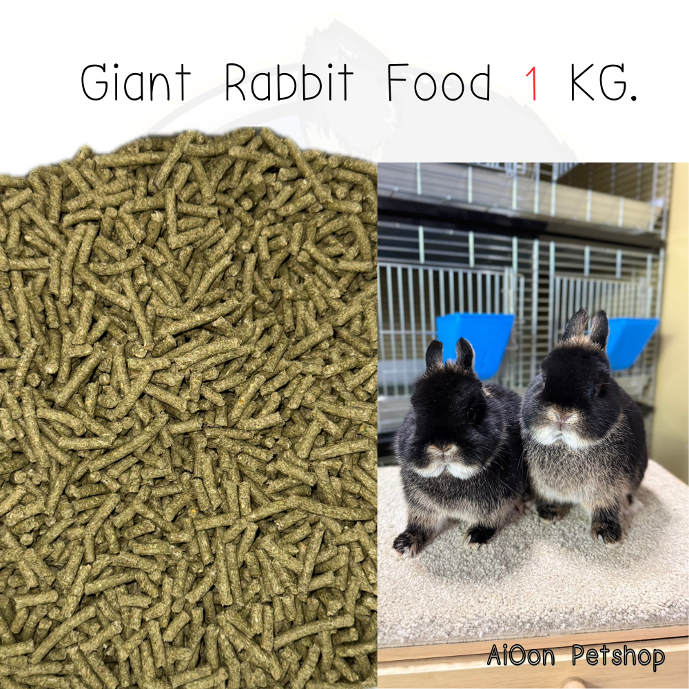 Snapshot of Giant Rabbit Food Sources