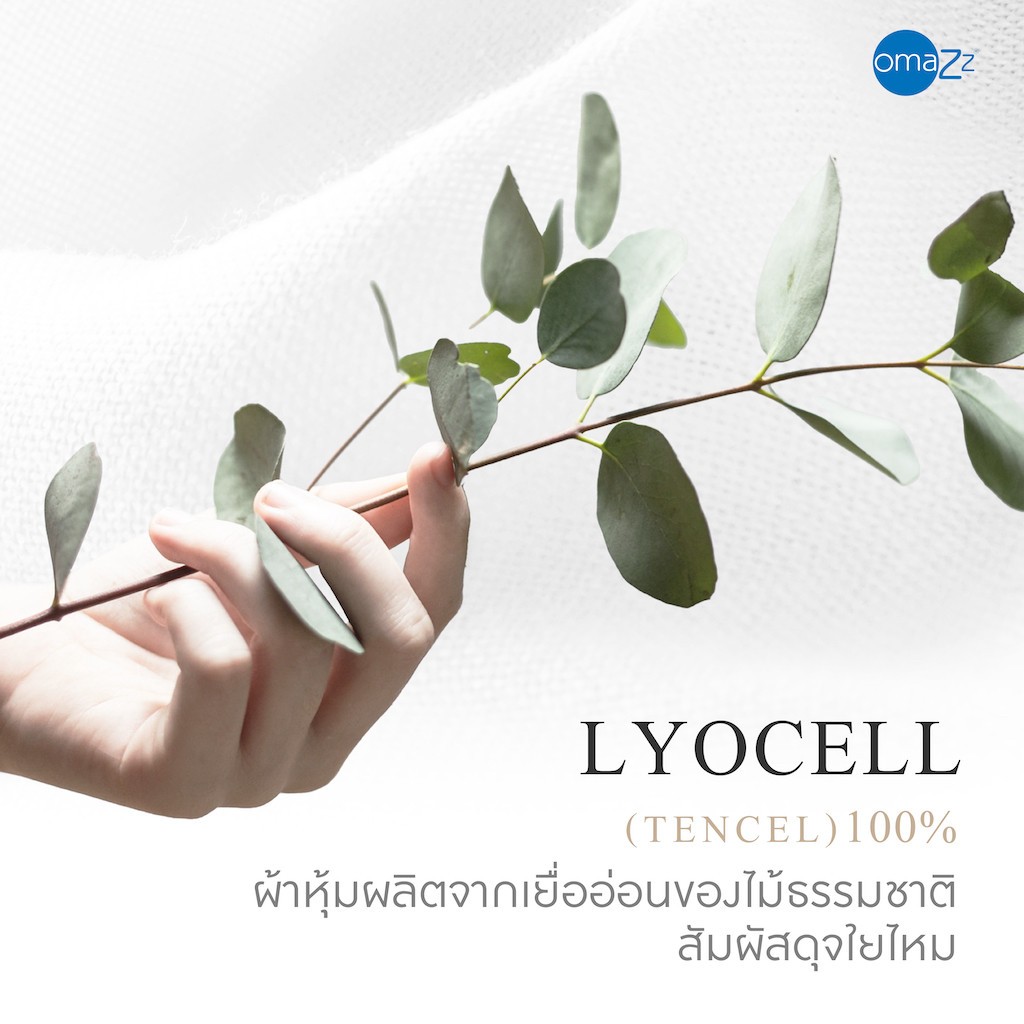 OMAZZ รุ่น หมอนหนุนขนห่านไซบีเรีย Firm ขนาด Standard 50x75 cm. เพื่อการรองรับสรีระอย่างนุ่มนวลและหลับสบายตลอดคืน