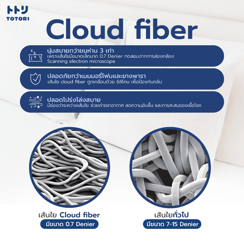 หมอนโทโทริ รุ่น คลาวด์(Cloud model) TOTORI - 2